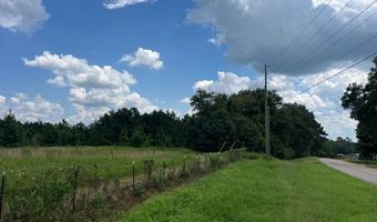 TBD County Road 40, Abbeville, AL 36310