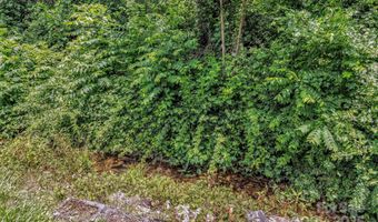 102 Edgewood Rd S, Asheville, NC 28803