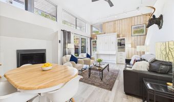 311 S Aspen St 3, Aspen, CO 81611