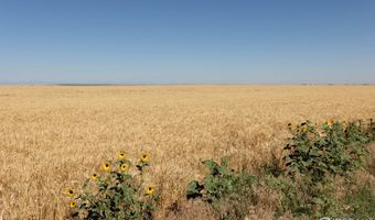 1 Vacant Land Penrith, Bennett, CO 80102