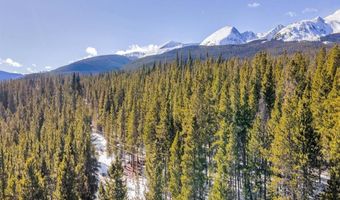 218 GOLDEN CROWN Ln, Blue River, CO 80424