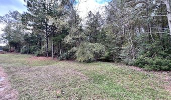 Lot B RIDGE Road, Appling, GA 30802