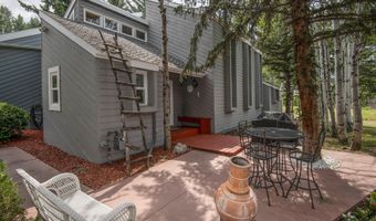 94 Lupine Ln, Avon, CO 81620