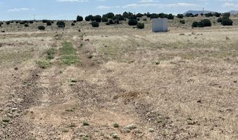 Windsor Valley Ranch Lot 135, Concho, AZ 85924