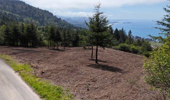 McVay Creek Rd TL310, Brookings, OR 97415