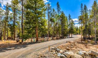 265 Placer Dr Lot 10, Alma, CO 80420