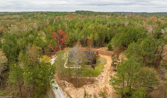 1008 Folly Run Dr, Lincolnton, GA 30817