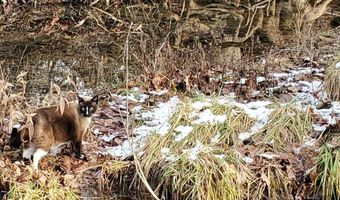 4775 S 50th Rd, Aldrich, MO 65601