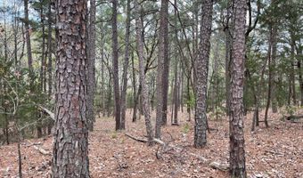 175626 Boulder Rd, Antlers, OK 74523