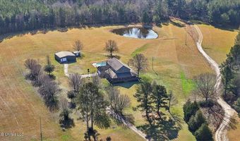 766 Pinola Braxton Rd, Braxton, MS 39044