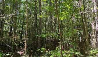 Fortner Road, Ball Ground, GA 30107