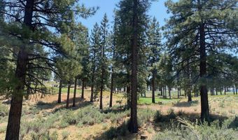 245 Redding Way 226, Carson City, NV 89705