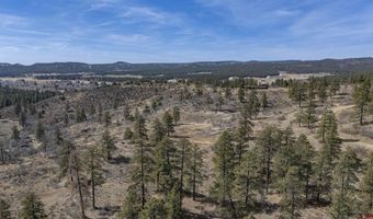 TBD Lot 4 Beaver Creek Ranch Drive, Bayfield, CO 81122
