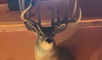 28146 382nd Ave, Armour, SD 57313