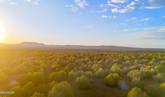 N SIX SHOOTER TRL 20 ACRES, Ash Fork, AZ 86320