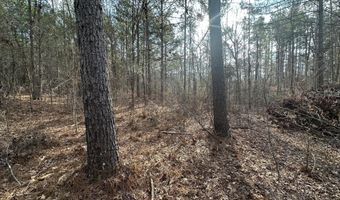 1106 LONGLEAF Way, Lincolnton, GA 30817