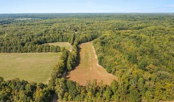 N OSBORNTOWN Rd, Arlington, TN 38002