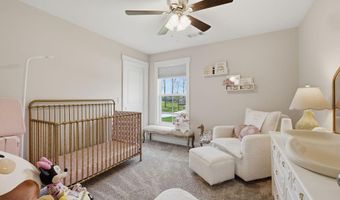 438 John Purdom Dr, Almo, KY 42020