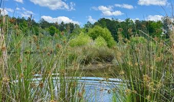 337 Weathers Farm Rd, Bowman, SC 29018