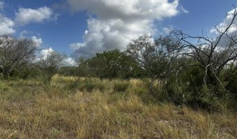 County Road 119, Alice, TX 78332