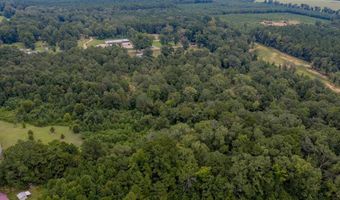 Tbd 371 Highway, Coushatta, LA 71019