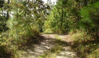 6 Parkers Ferry Rd, Adams Run, SC 29426