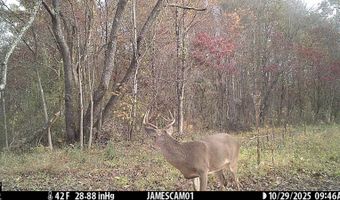 0 W Captina Highway Rd, Alledonia, OH 43902