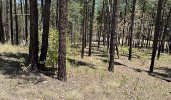 Tbd COUNTY ROAD N2122, Alpine, AZ 85920