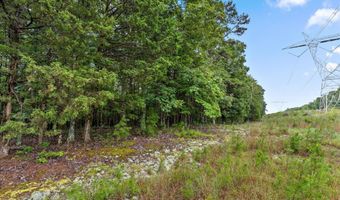 12712 Cranfield Rd, Birchwood, TN 37308