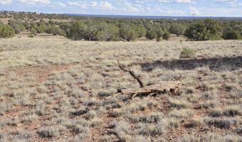 10 N9228, Concho, AZ 85924