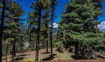 74 Vail Loop, Angel Fire, NM 87710
