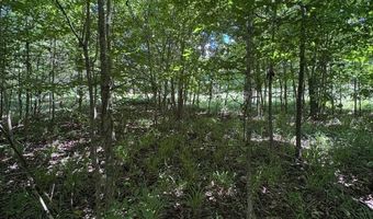 106 B Calico Ct, Alberta, AL 36720