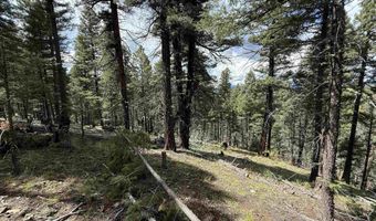 Valley Rd lot 123, Angel Fire, NM 87710