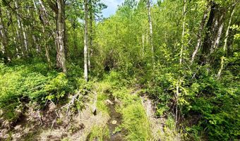 Lot 8 Arlie Tract, Babb, MT 59411