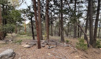 Porpoise Lane 15, Bonanza, OR 97623