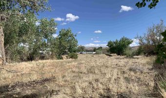 698 Jenny's Ln, Fernley, NV 89408