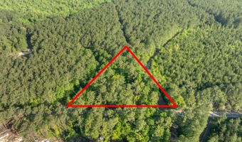 Ethridge Drive, Andrews, SC 29510