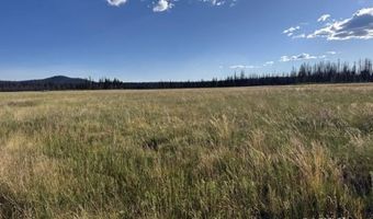White Birch Way, Bly, OR 97622