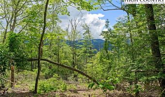 Lot 41 White Fox Lane, Banner Elk, NC 28604