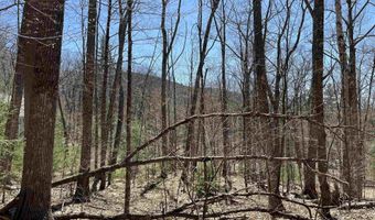 Tobey Road H-16, Campton, NH 03223
