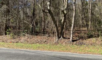 5037 Doctor Taylor Rd, Adams Run, SC 29426