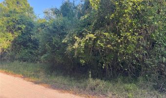 1330 NE RIVER WOOD Rd, Arcadia, FL 34266