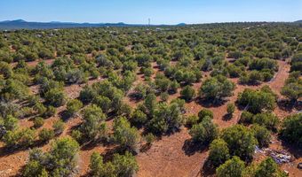233 Co, Concho, AZ 85924