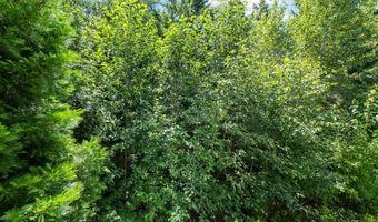 15400 SW MALLARD Dr 102, Beaverton, OR 97007