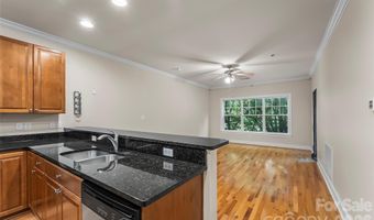 175 S Lexington Ave 202, Asheville, NC 28801