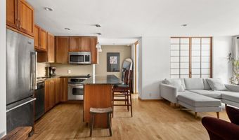 935 E Hopkins Ave 7, Aspen, CO 81611