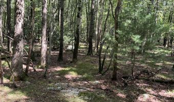 603 Sycamore Cir, Albrightsville, PA 18210