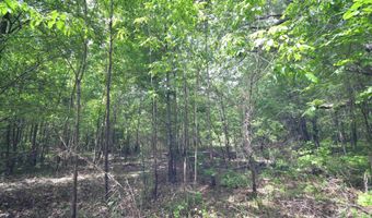 135 Worden Rd, Bald Knob, AR 72010