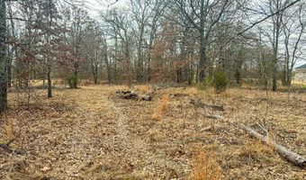 9696 Fm-515, Alba, TX 75410