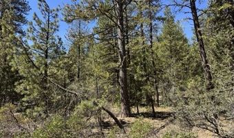 Horned Owl Lane, Bonanza, OR 97623